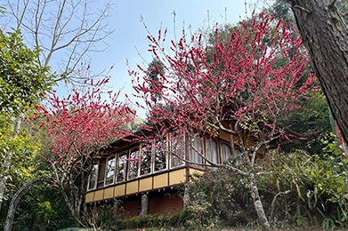 homestays
